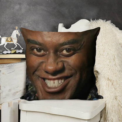 Ainsley Harriott Linen Throw Pillow Cover