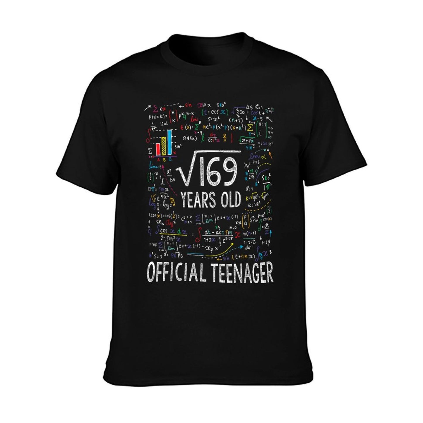 Square Root Of 169 13 Years Old Officialnager Birthday T-Shirt