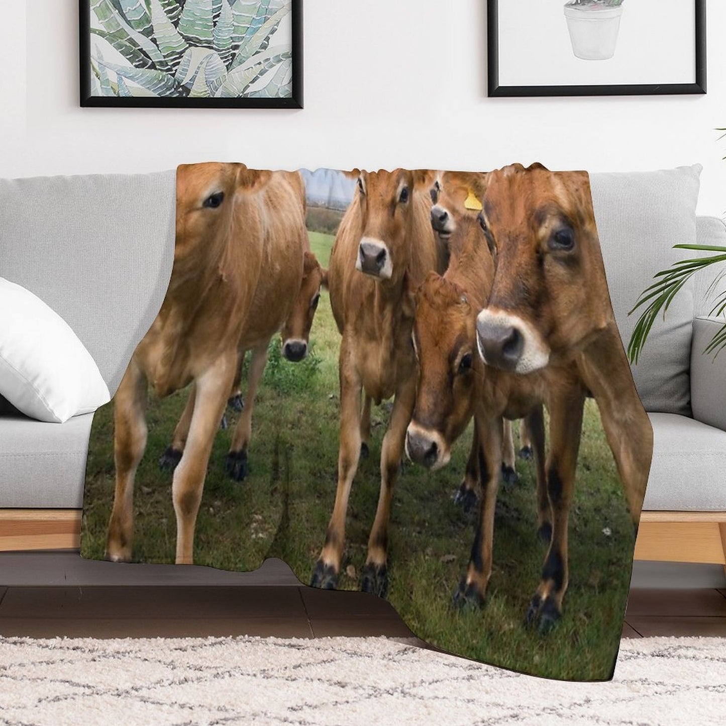 Curious Jersey Cows Throw Blanket
