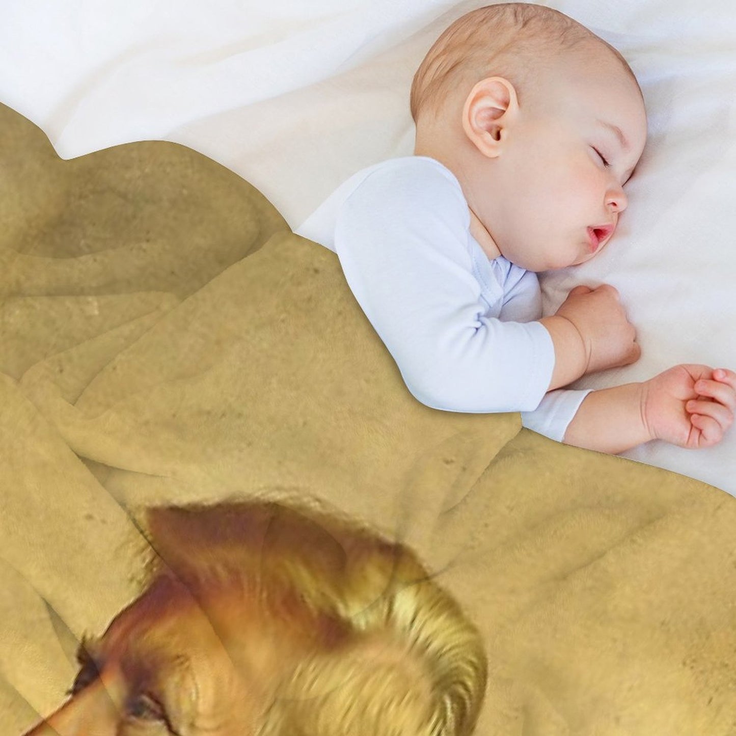 Donald Trump - Replaceface Throw Blanket