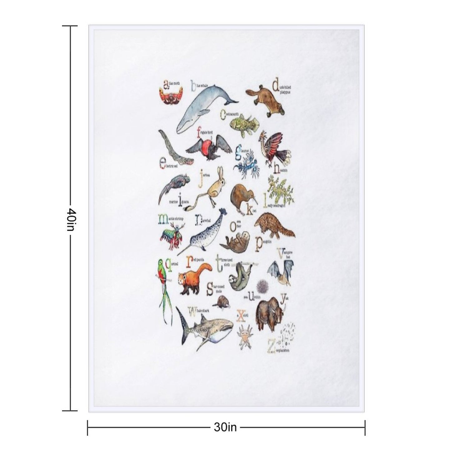A to Z of Amazing Animals Throw Blanket