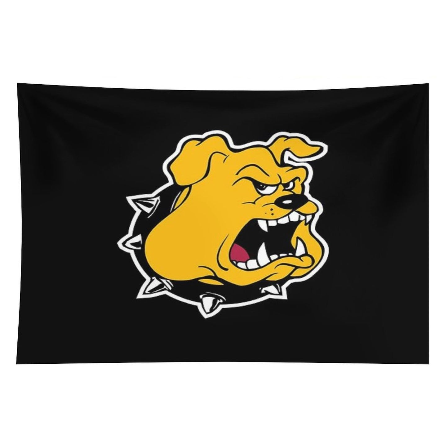 Texas Lutheran University Tapestry