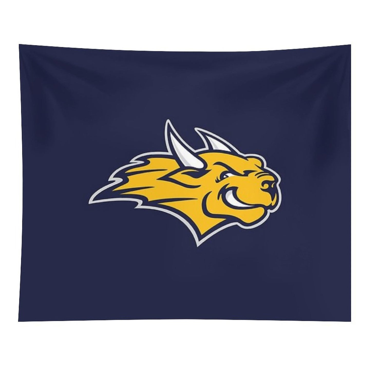 Webster University Tapestry