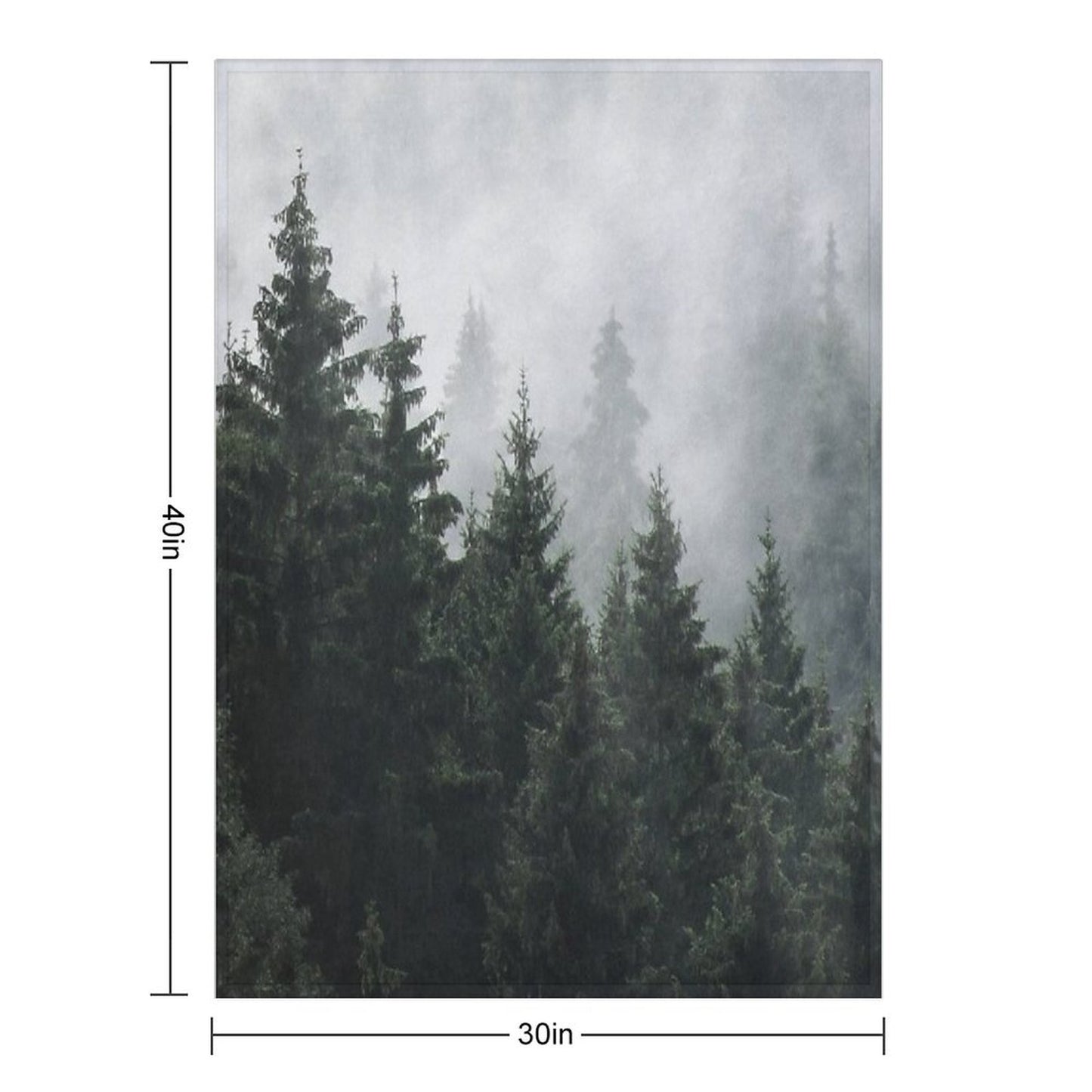 Waiting For  Misty Foggy Fairytale Forest With Cascadia Trees Covered In Magic Fog Throw Blanket