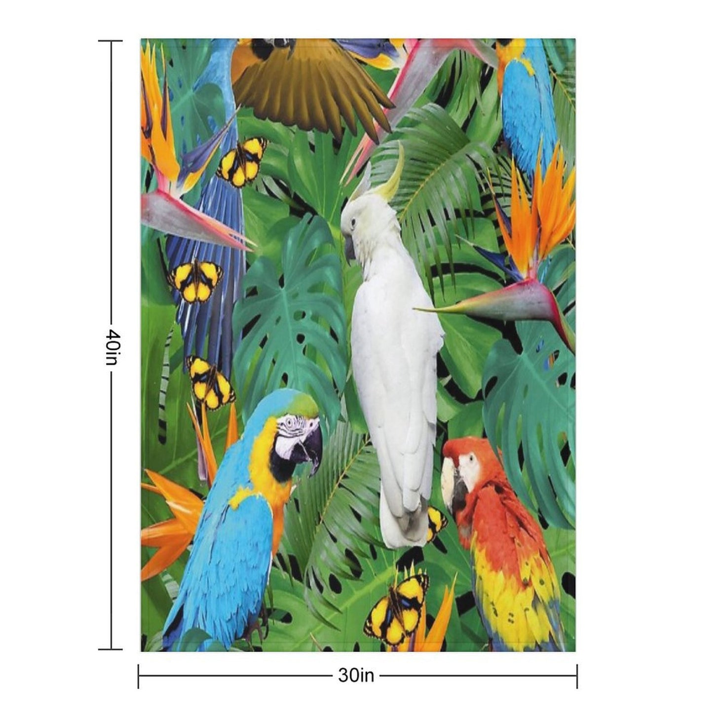 Parrots Bird Jungle Palm Monstera Leaves Throw Blanket
