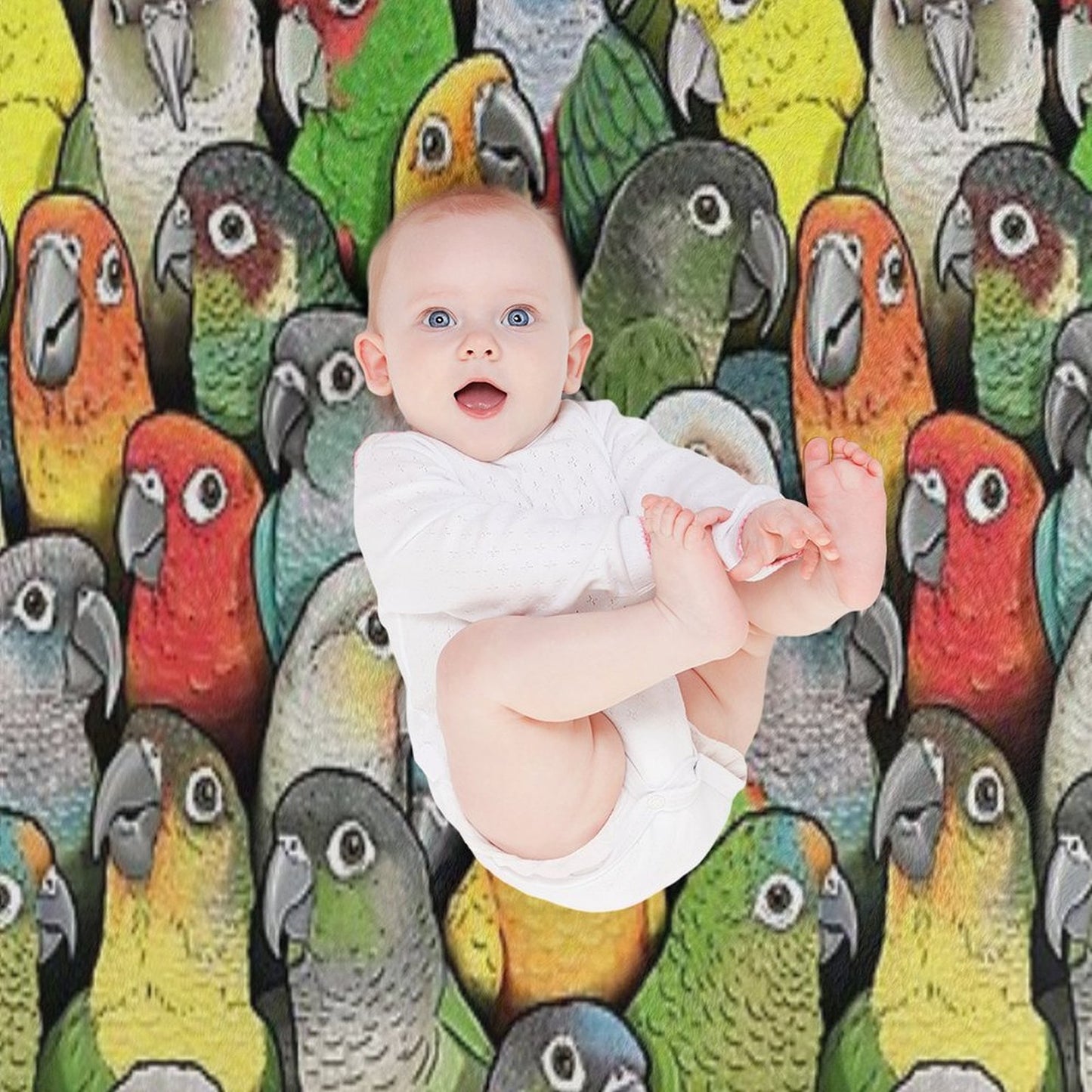 Colour of Conures Throw Blanket