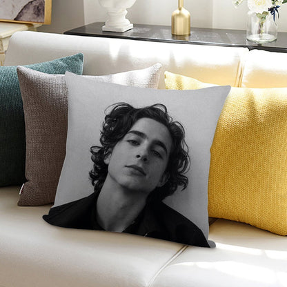 Chalamet Soft High-Density Material Throw Pillow
