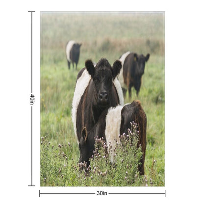 Belted Galloway Cows Throw Blanket