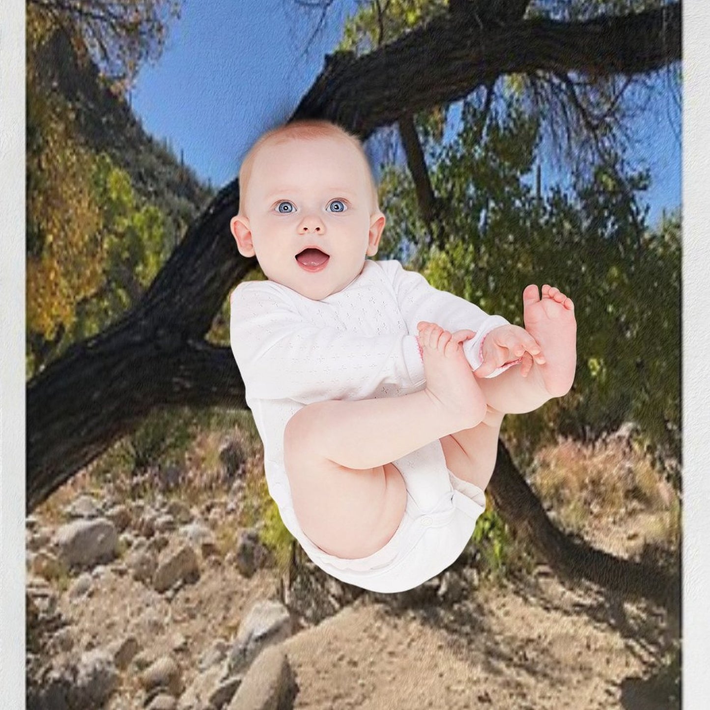 Looking Though A Branch Throw Blanket