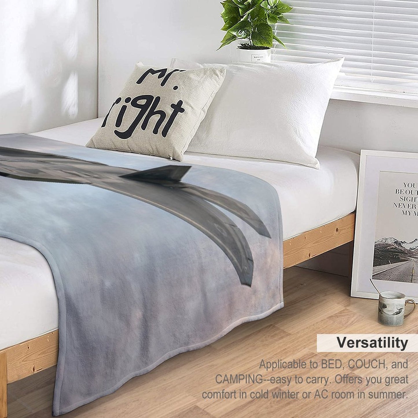 F22 Raptor Throw Blanket