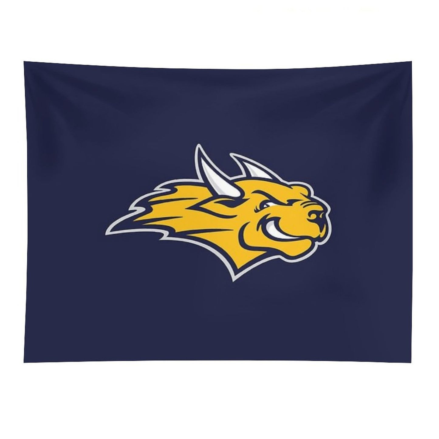 Webster University Tapestry