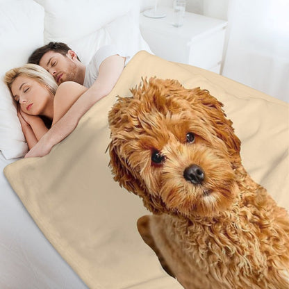 Cavapoo Throw Blanket