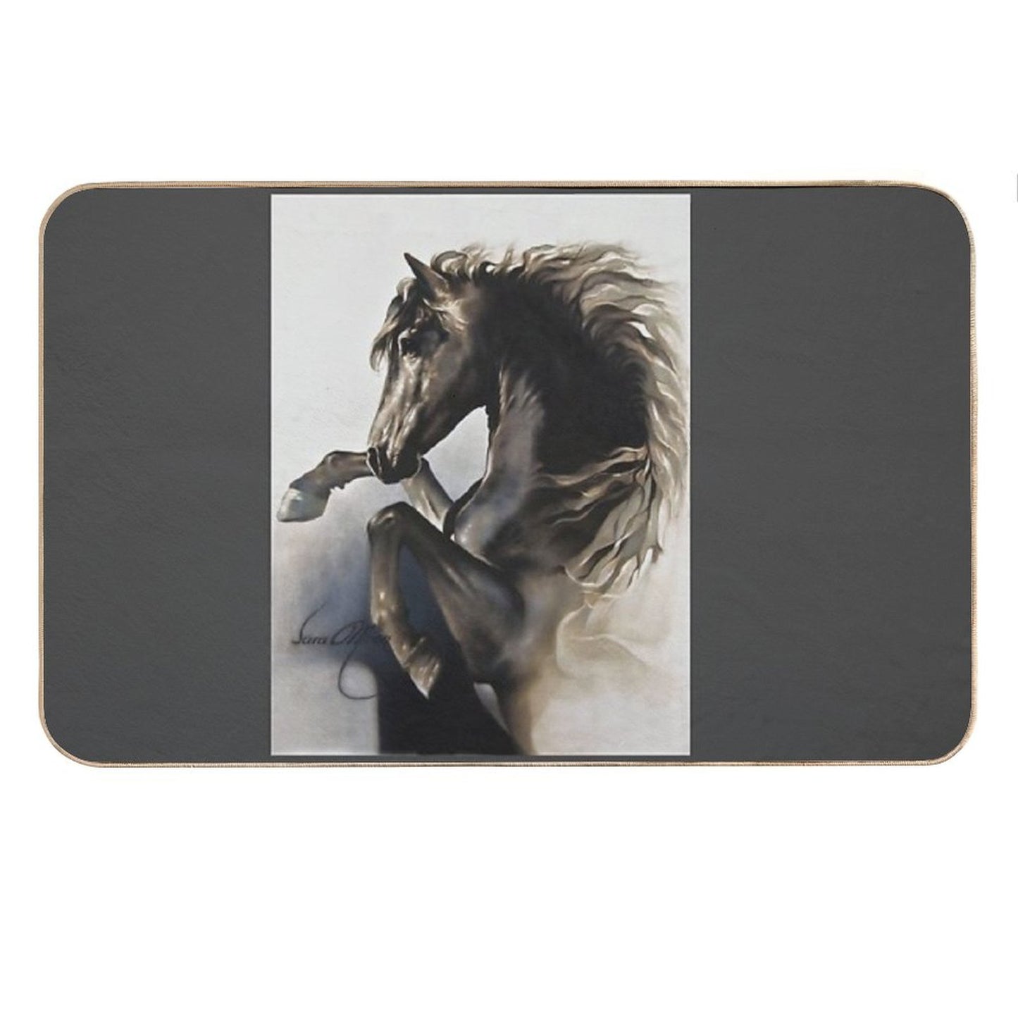 Black Fury Bath Mat