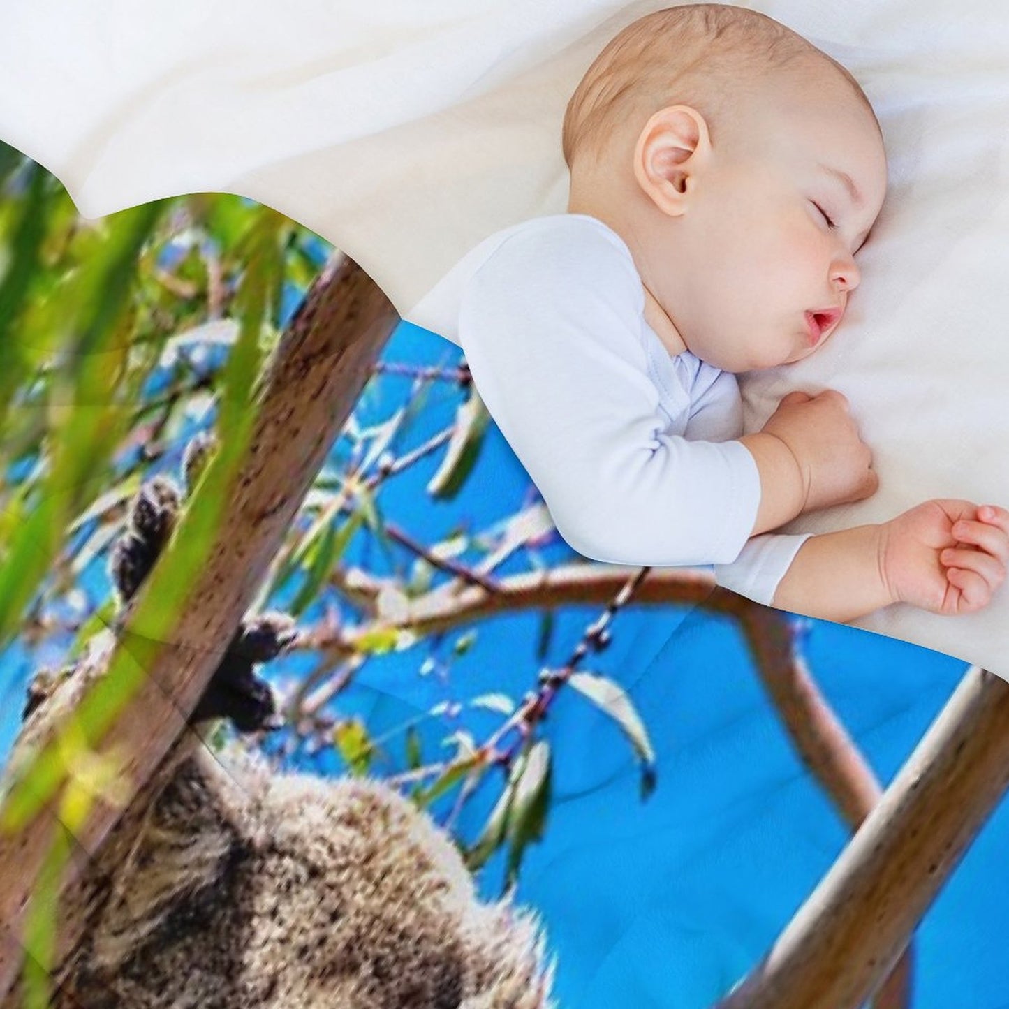 Lovely Australian Koala Bear Throw Blanket