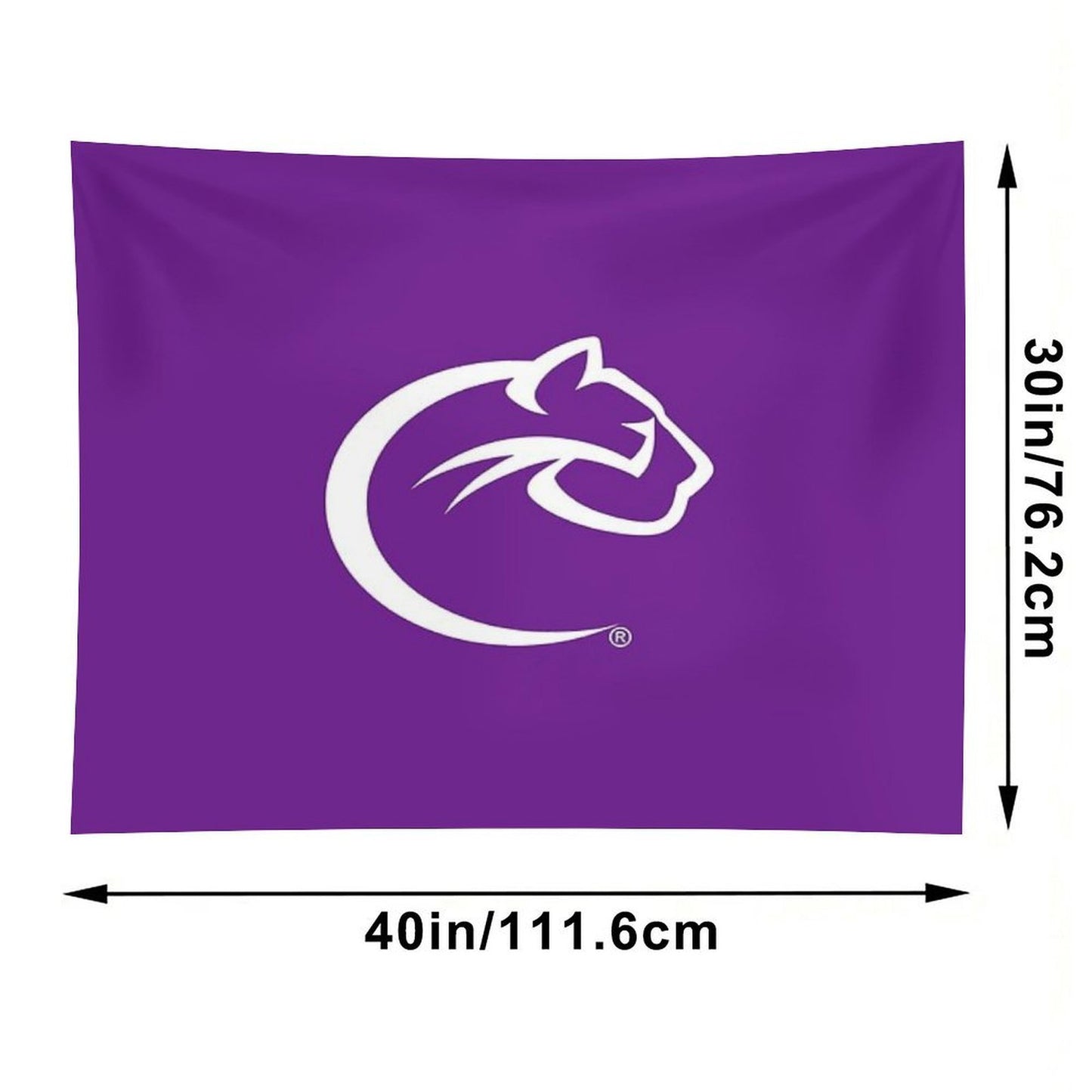Cougars Pittspurbh Chatham Tapestry