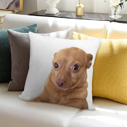 Mr. Mouse Soft Anti-Pilling Throw Pillow