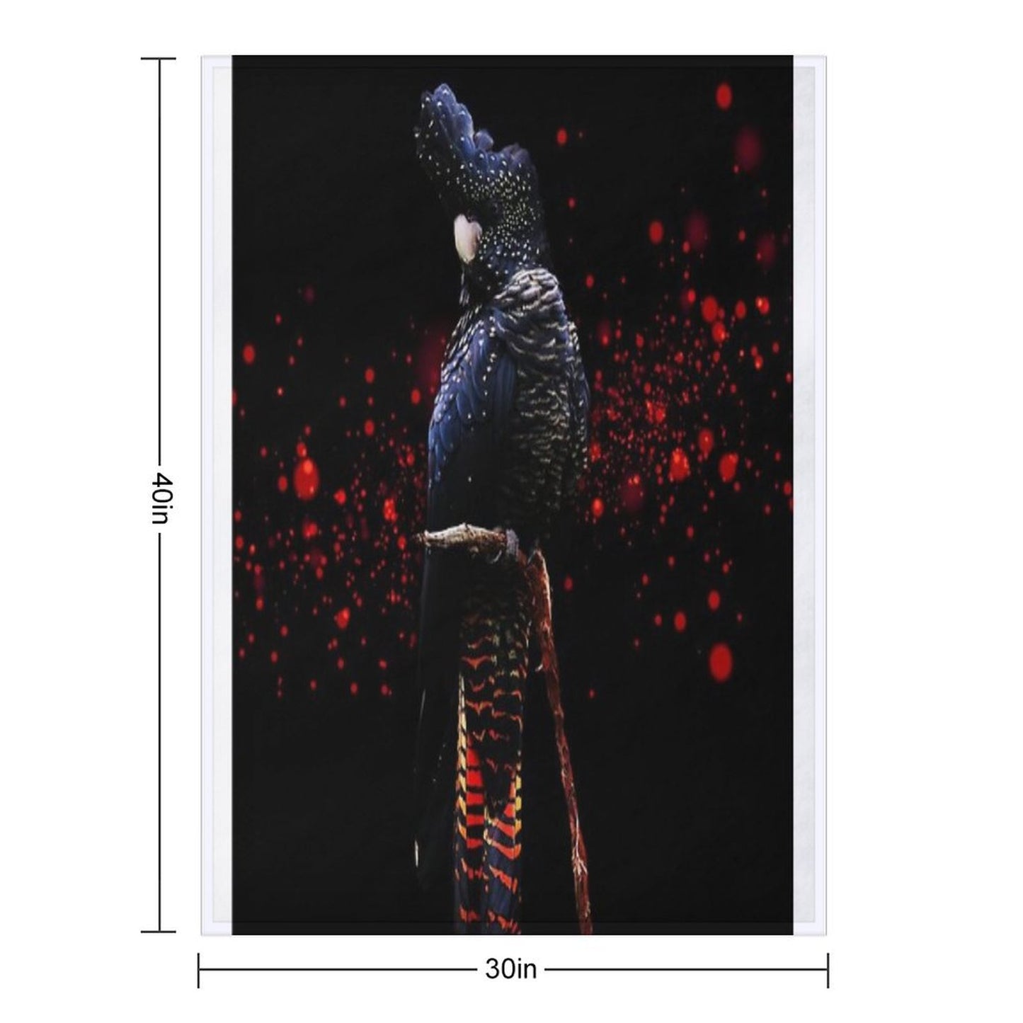 Red Tailed Black Cockatoo Throw Blanket