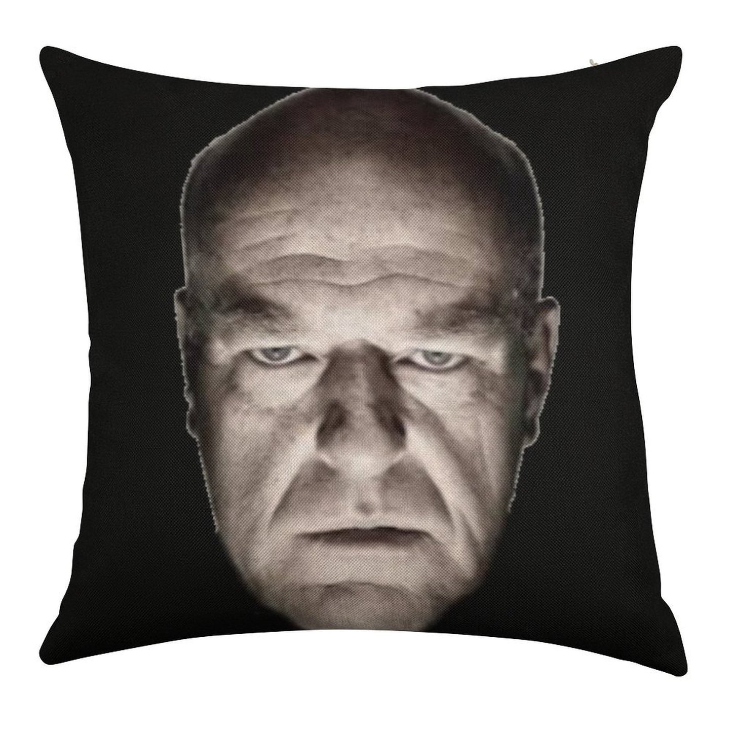 Hank Staring Meme Linen Throw Pillow Cover