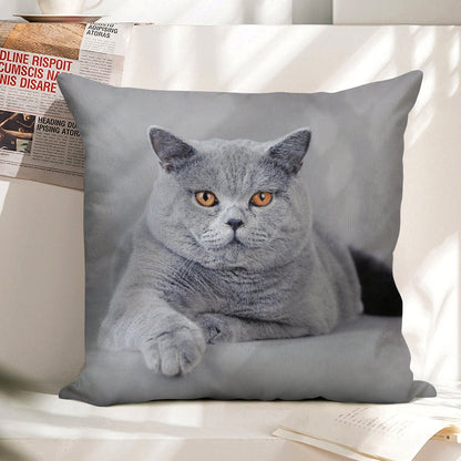 British Shorthair Cat Portrait Linen Throw Pillow Cover