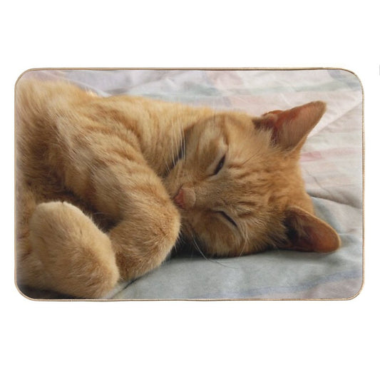 Ginger Cat Sleeping Bath Mat
