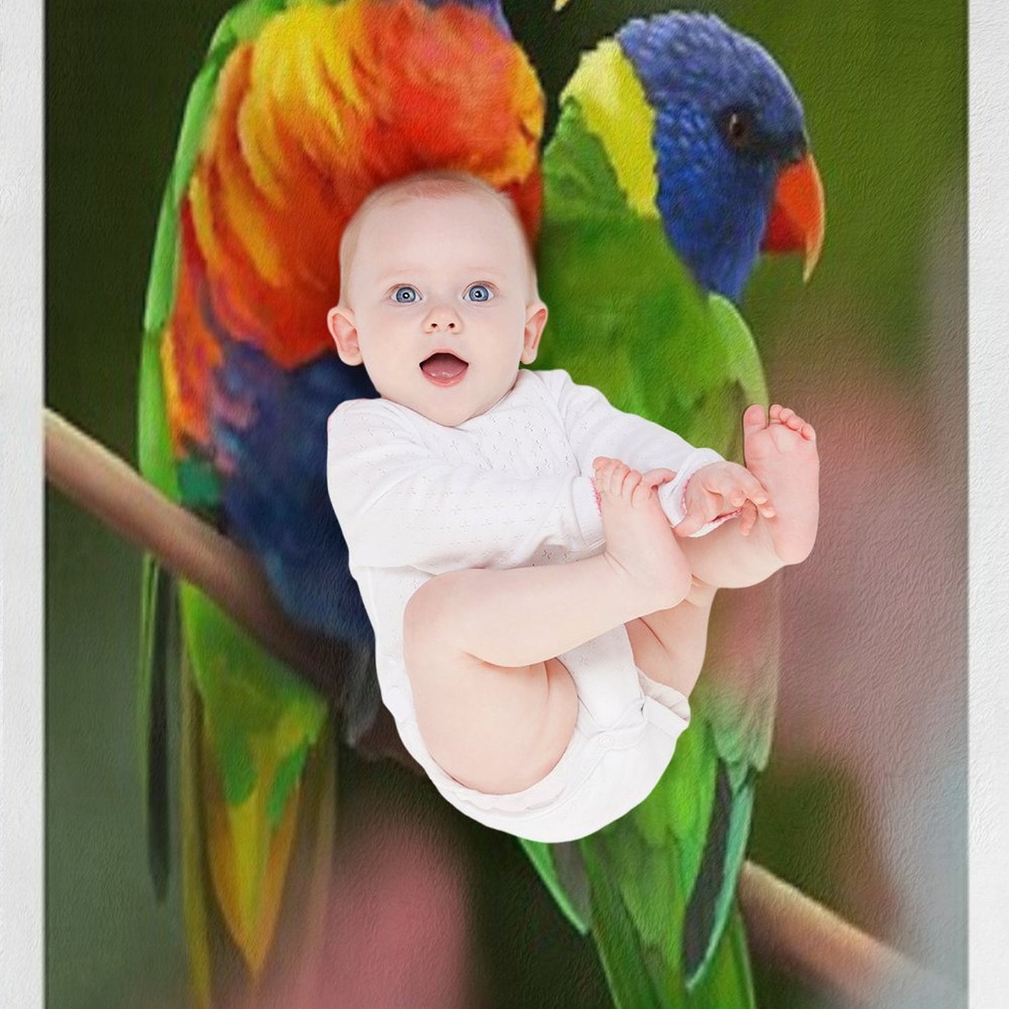 Rainbow Lorikeets Throw Blanket