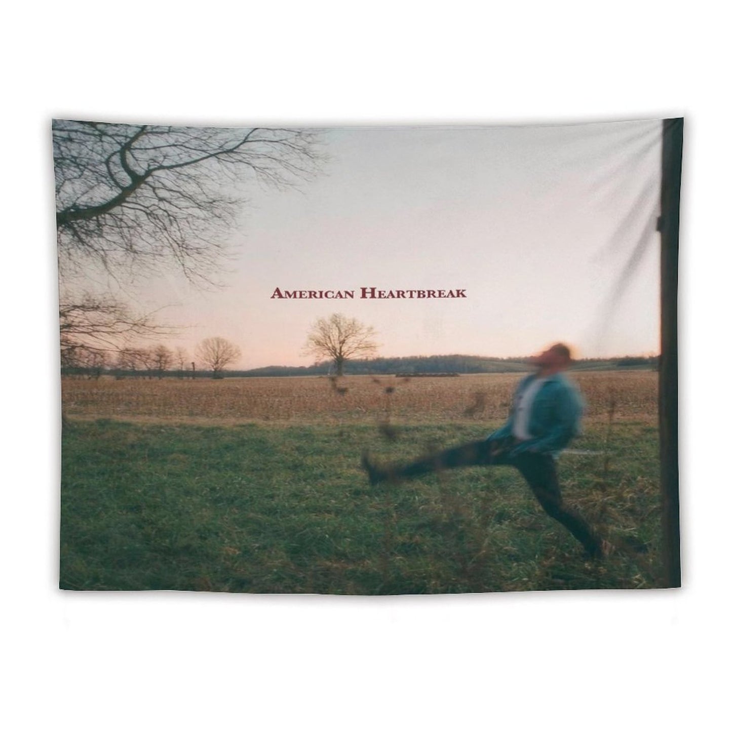 Zach Singer Bryan - American Heartbreak Tapestry