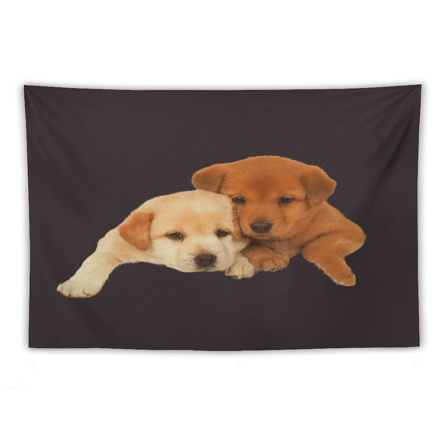 Drake - FOR ALL THE DOGS Tapestry