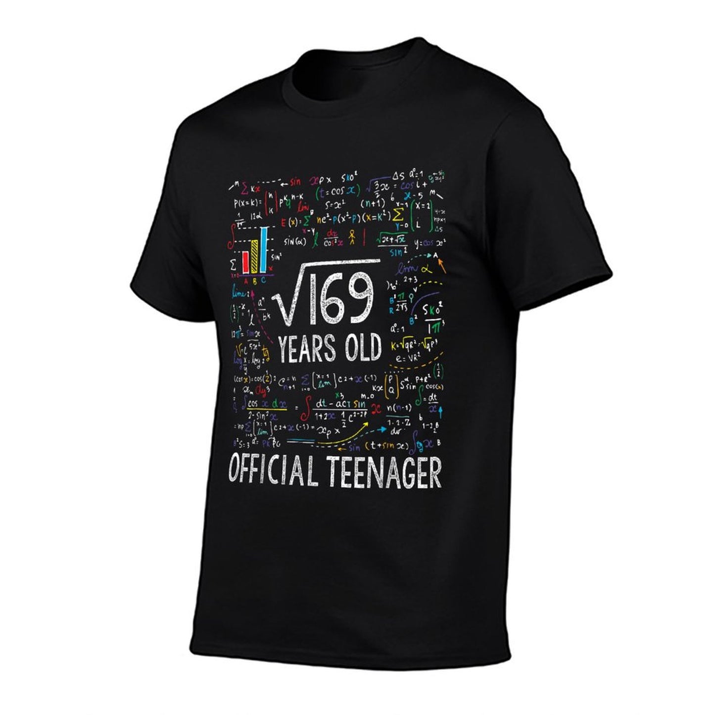 Square Root Of 169 13 Years Old Officialnager Birthday T-Shirt