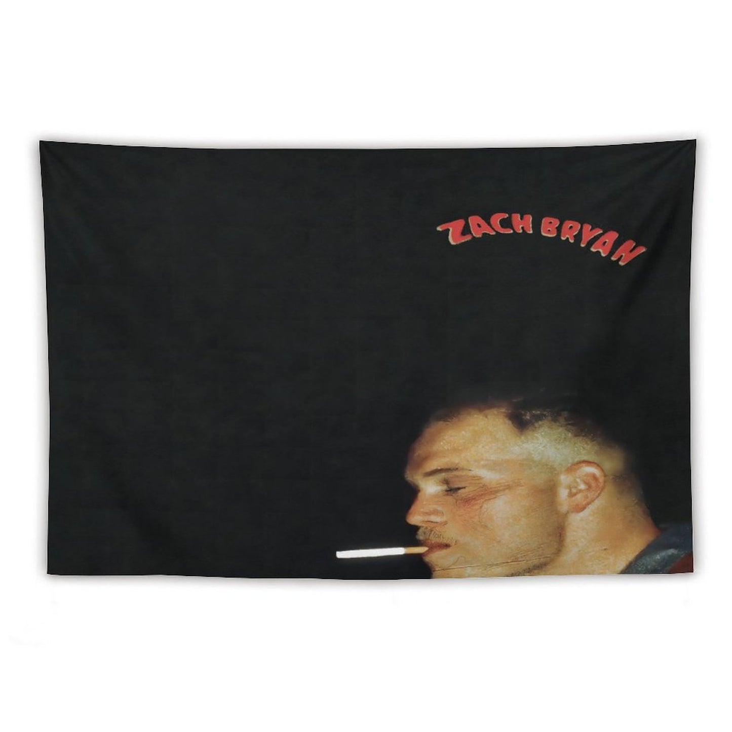 Zach Singer Bryan - Zach Album Bryan Tapestry