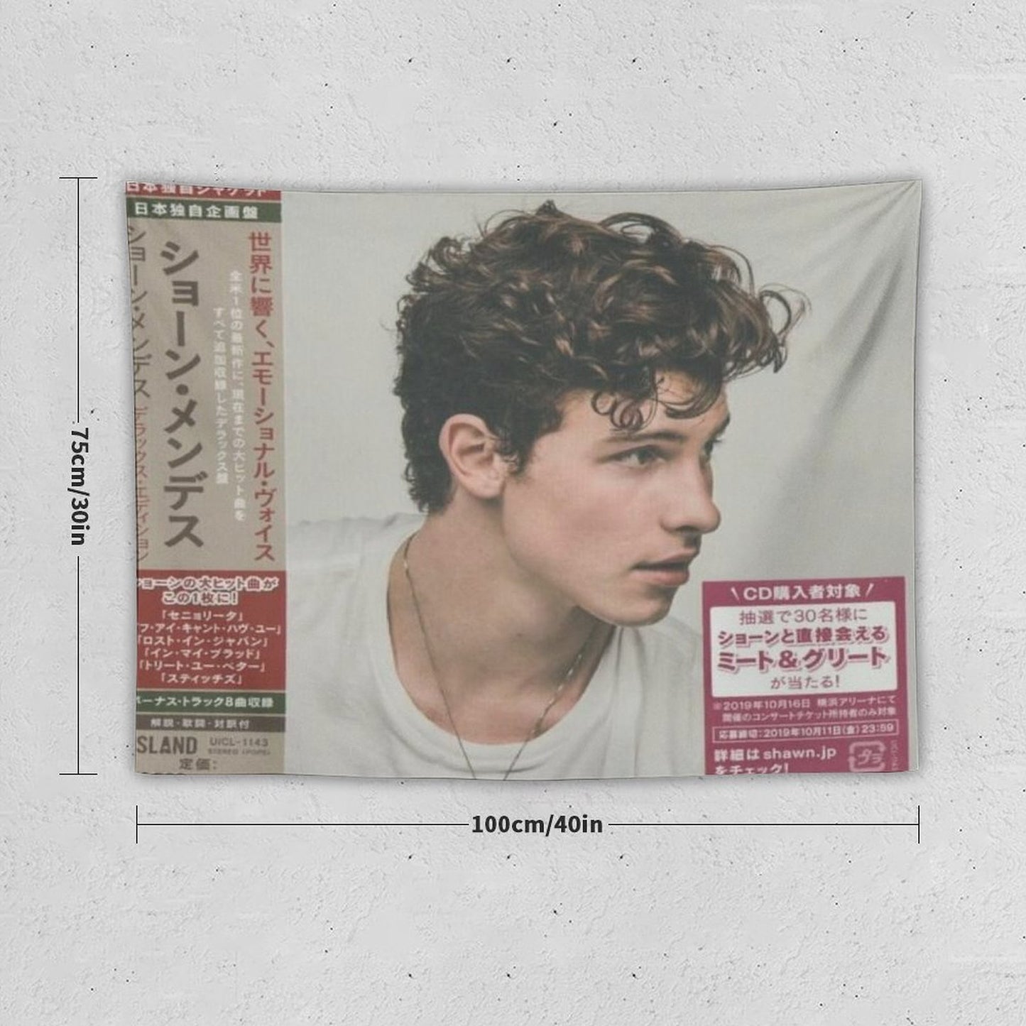 Shawn Mendes {Japan Deluxe Edition) Tapestry