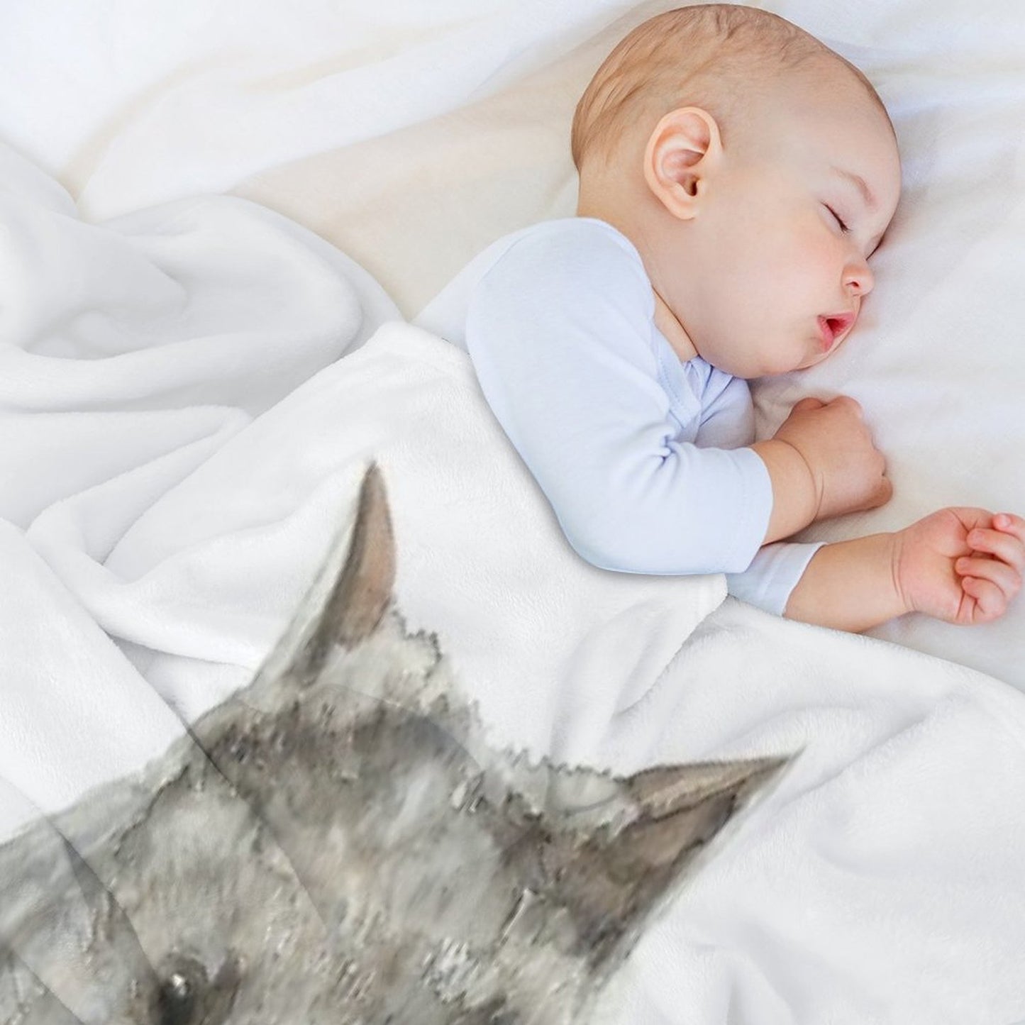 Common Wombat Throw Blanket