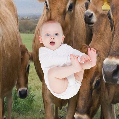 Curious Jersey Cows Throw Blanket