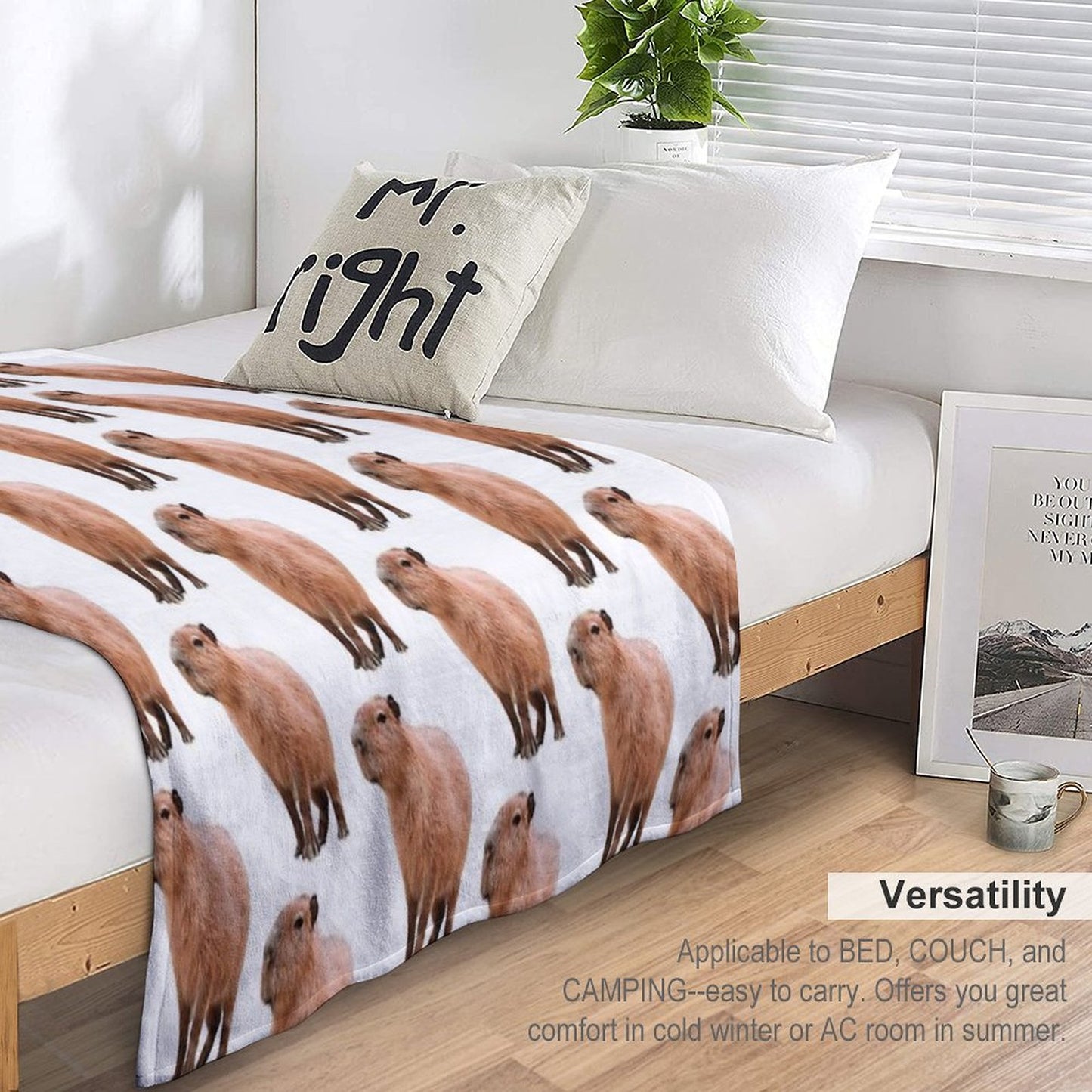 Cute Capybara Throw Blanket