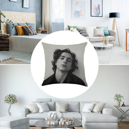 Chalamet Linen Throw Pillow Cover