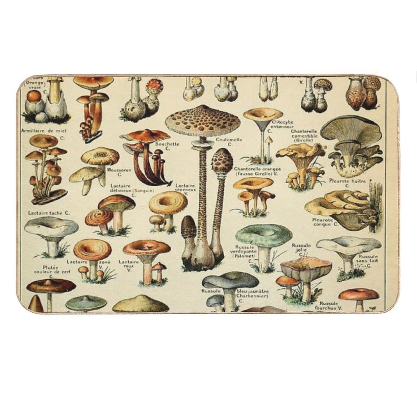 Mushrooms Bath Mat