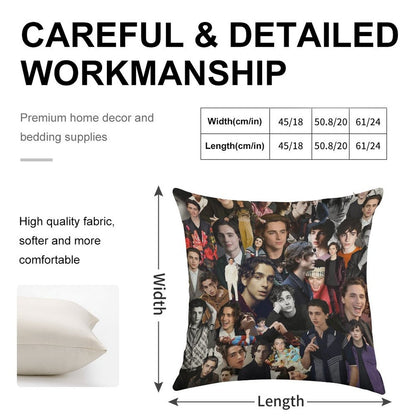 Timothee Chalamet Linen Throw Pillow Cover