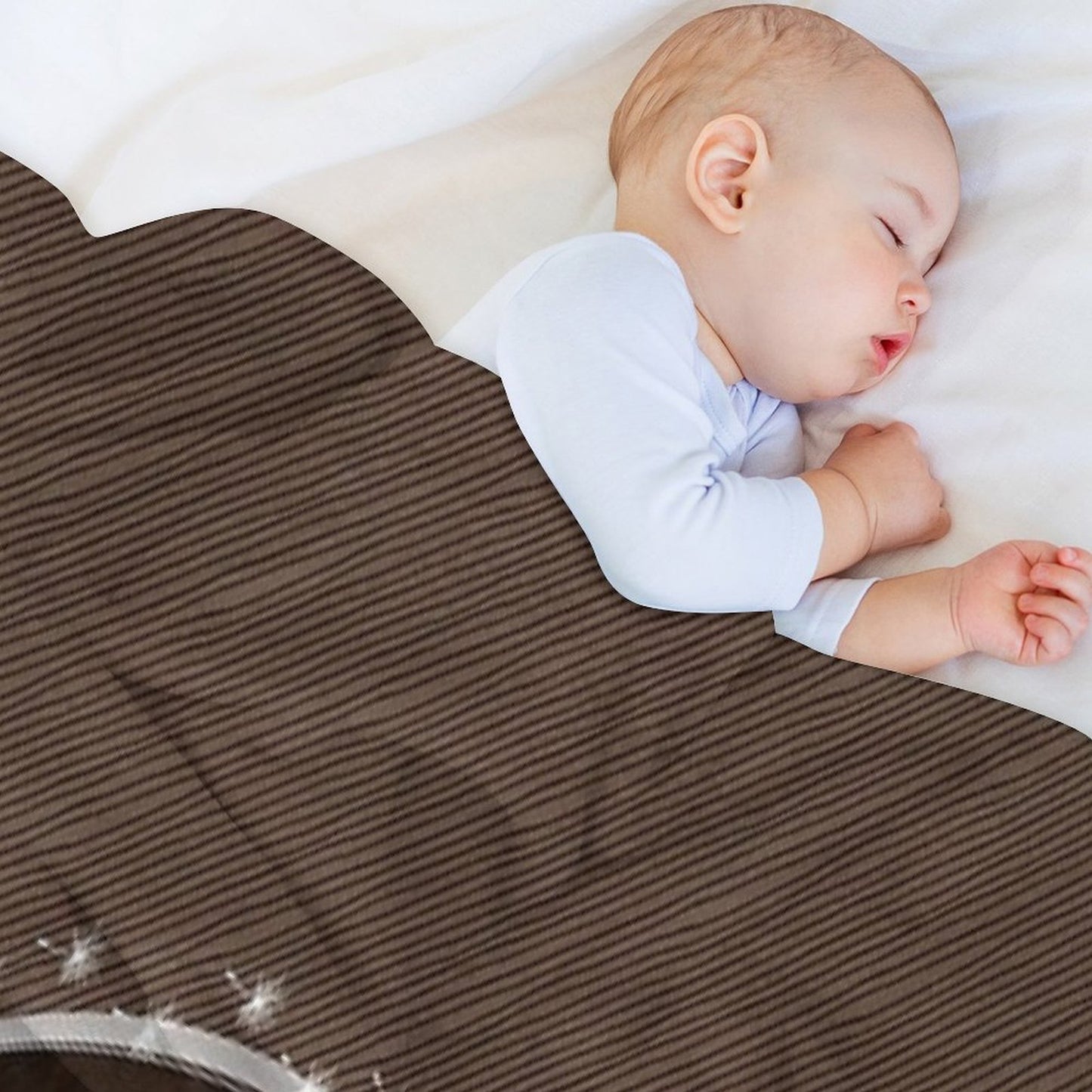 Helmeted Guineafowl Throw Blanket