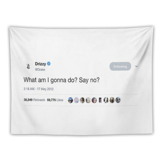 Drake - What Am I Gonna Do Say No Tweet Tapestry