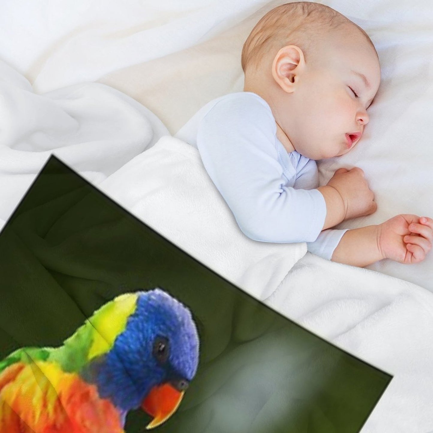 Rainbow Lorikeets Throw Blanket