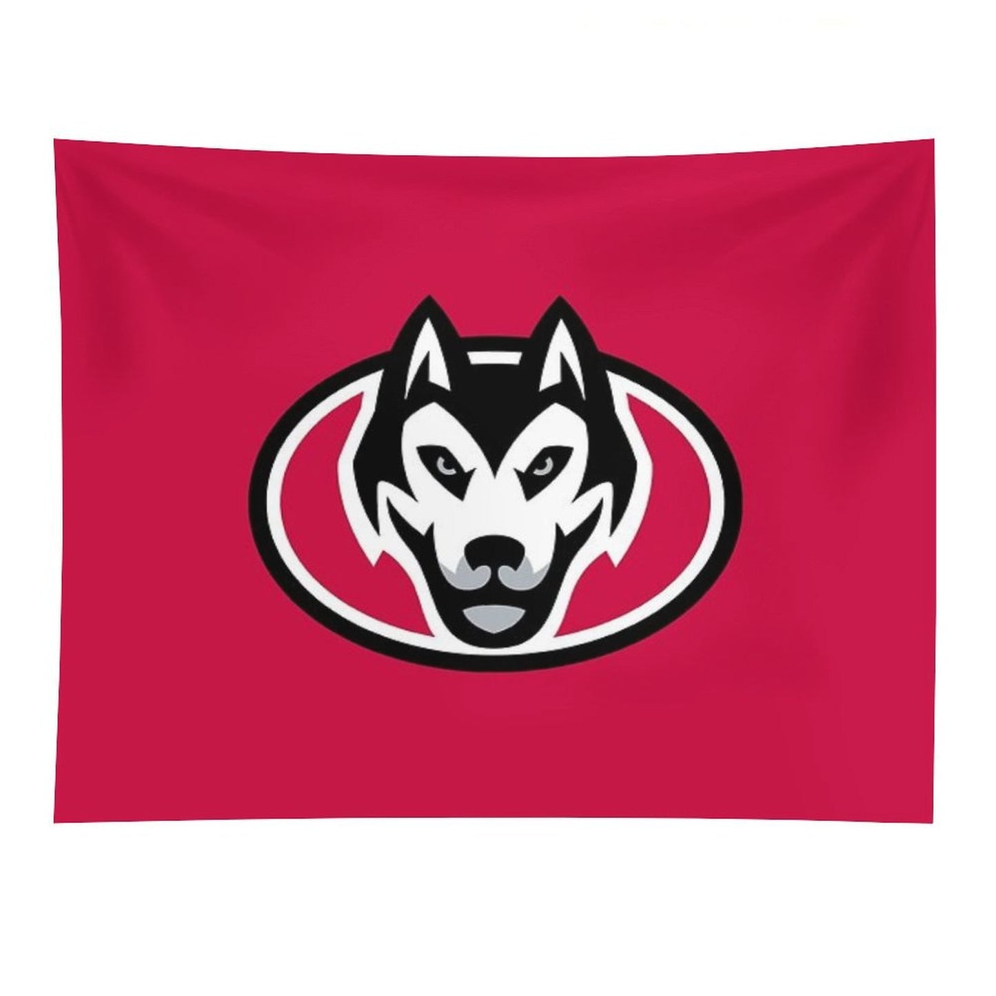 St. Cloud State University Tapestry
