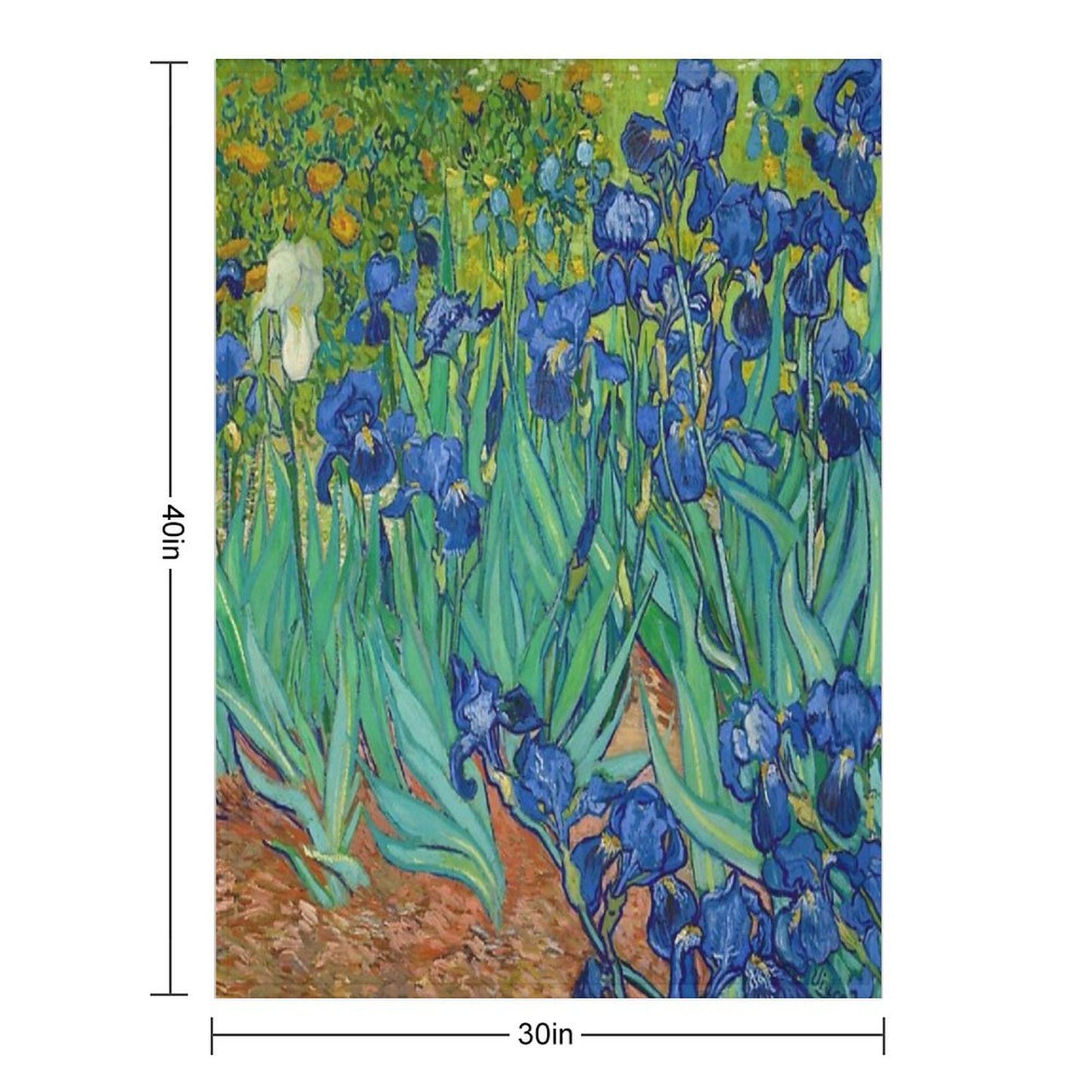Irises by Vincent Van Gogh (May 1889) Throw Blanket