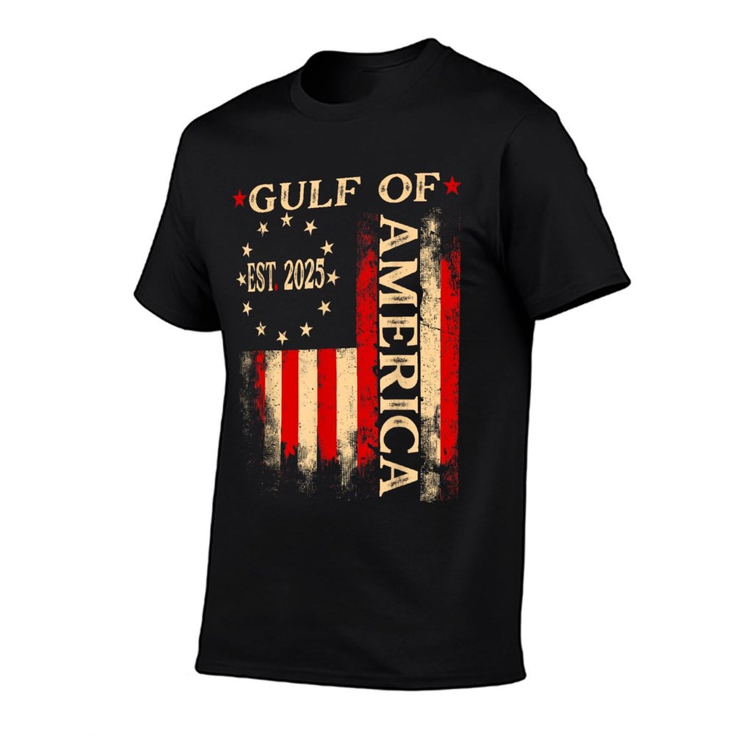 Gulf Of Usa America Est 2025 Us Flag T-Shirt