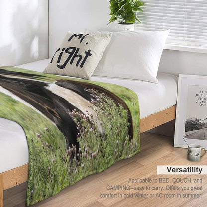 Belted Galloway Cows Throw Blanket