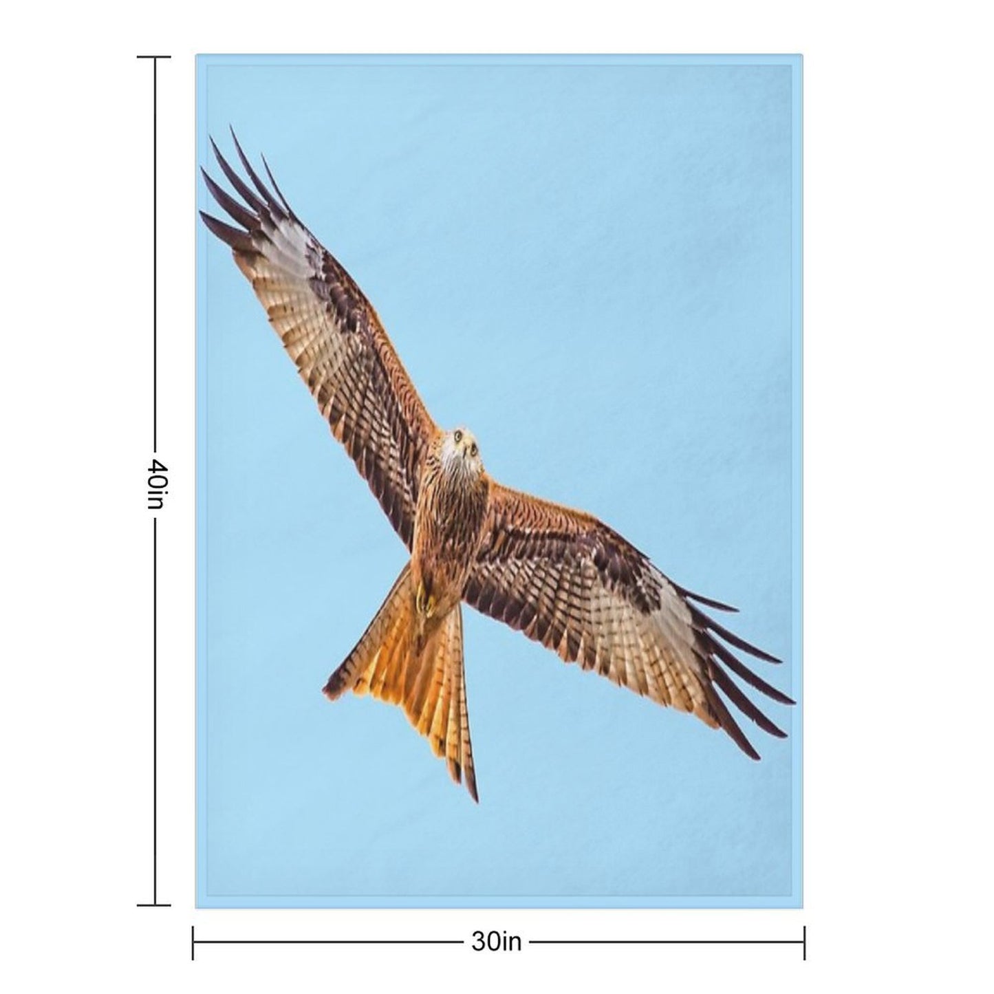 Red Kite (Milvus Milvus) Throw Blanket