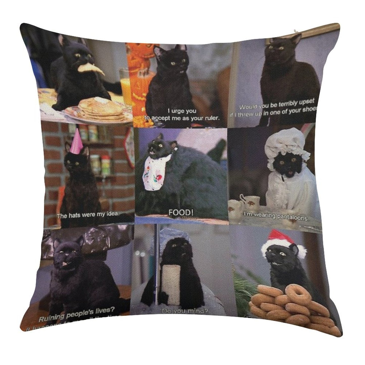 Musings of Salem Linen Throw Pillow Cover