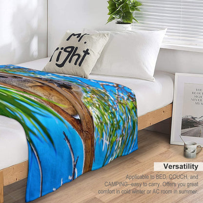 Lovely Australian Koala Bear Throw Blanket