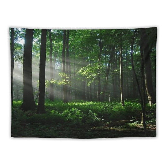 Lighted Forest Tapestry