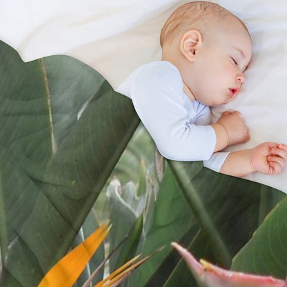 A Beautiful Bird of Paradise Flower from Madeira Throw Blanket