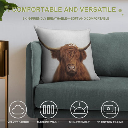 Highland Cow - Colorful Soft Decorative Cover Throw Pillow