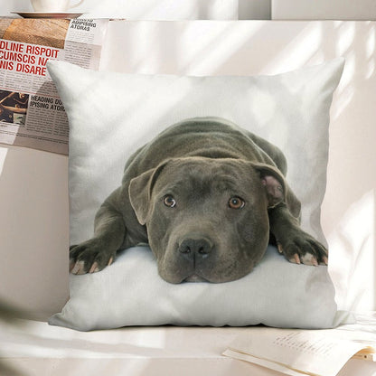 Blue Staffordshire Bull Terrier Super Cute Puppy Eyes Linen Throw Pillow Cover